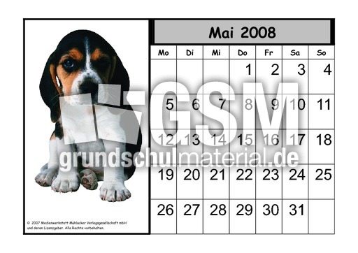 Tier-Kalender-08-05.pdf